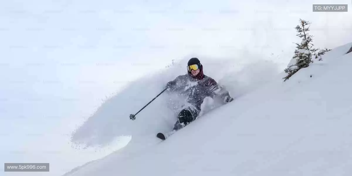 运动装备一站式,品质与颜值并存!🛒🔥